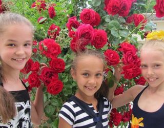 Детский оздоровительный лагерь "Энергетик"