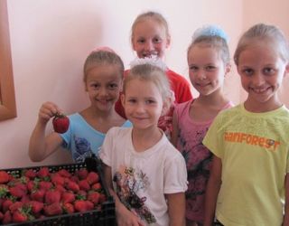 Детский оздоровительный лагерь "Энергетик"