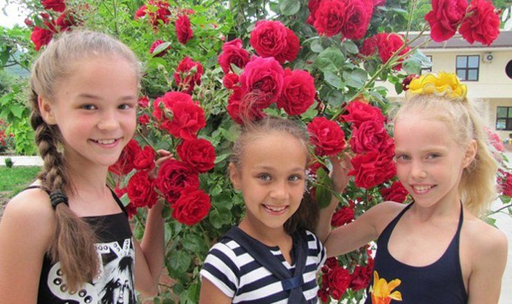 Детский оздоровительный лагерь "Энергетик"